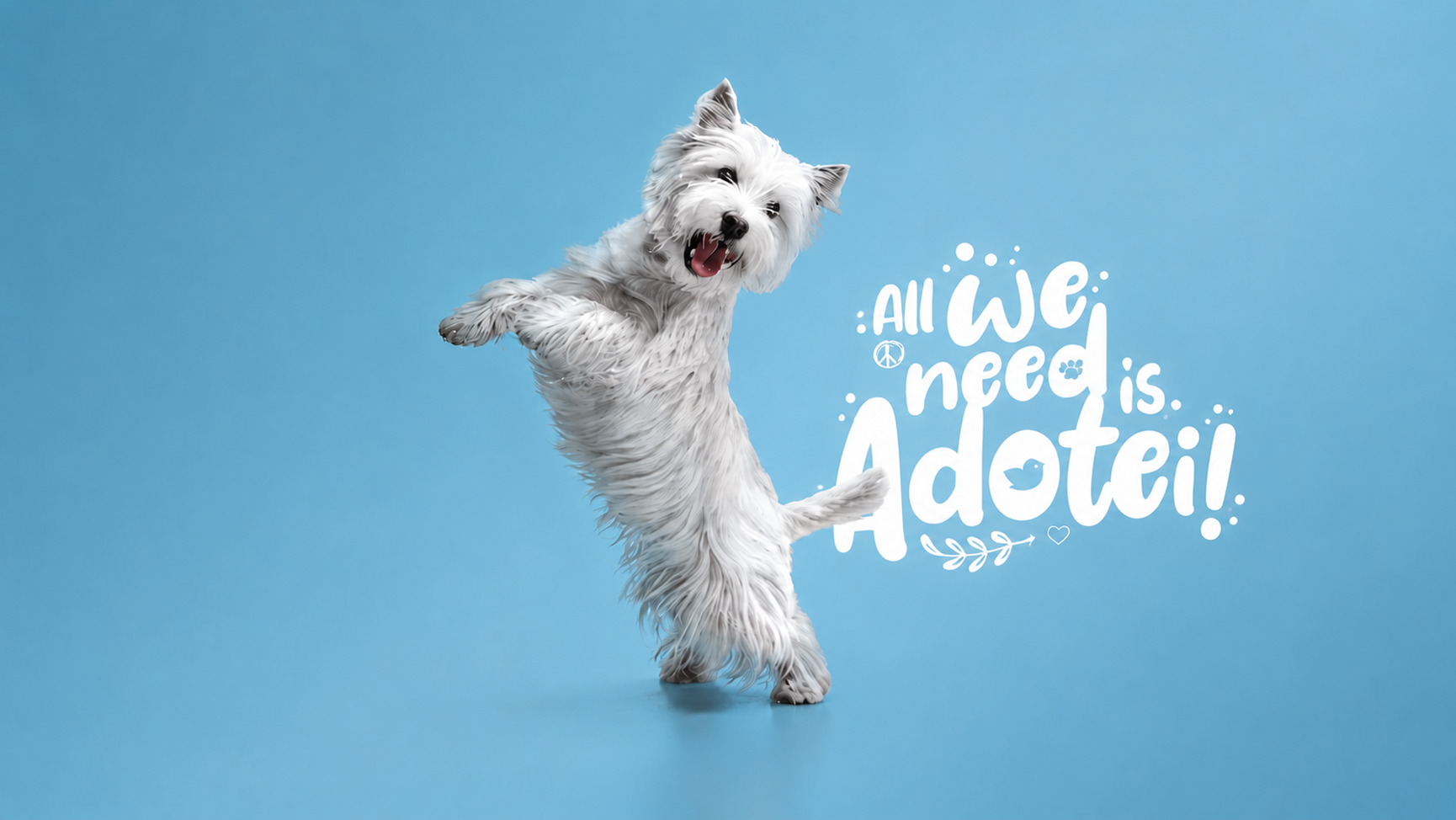 Cachorro branco feliz — All we need is Adotei!